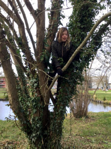 Ludgerusschool bomen als inspiratie